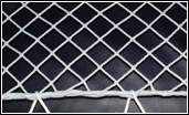 Ultra Pro Netting with Rope Border on Catana 411